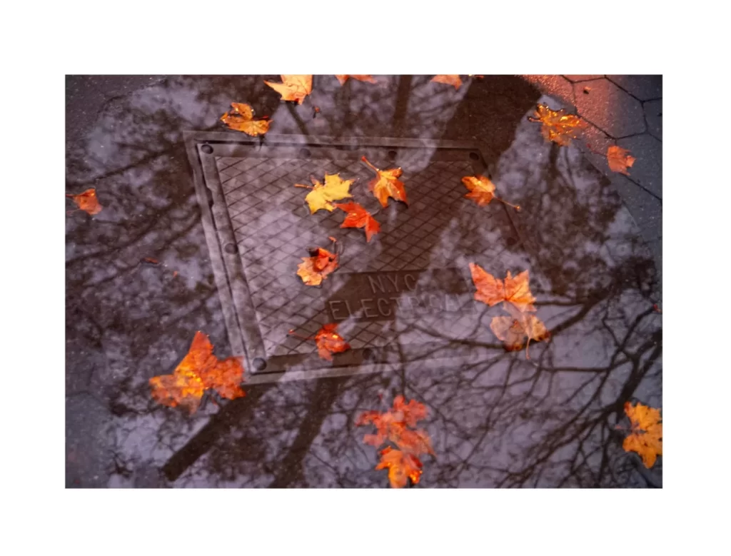 Looking back to September 11th 9/11 in New York City with autum leaves and a reflection of the sky.