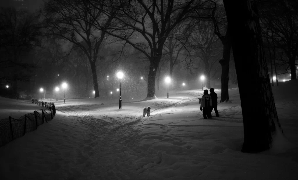 Central Park in the deep snow, two silhouette figures and a dog, soft bright lights, black and white image.